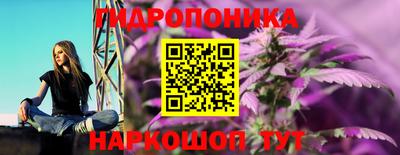 гашиш Обь
