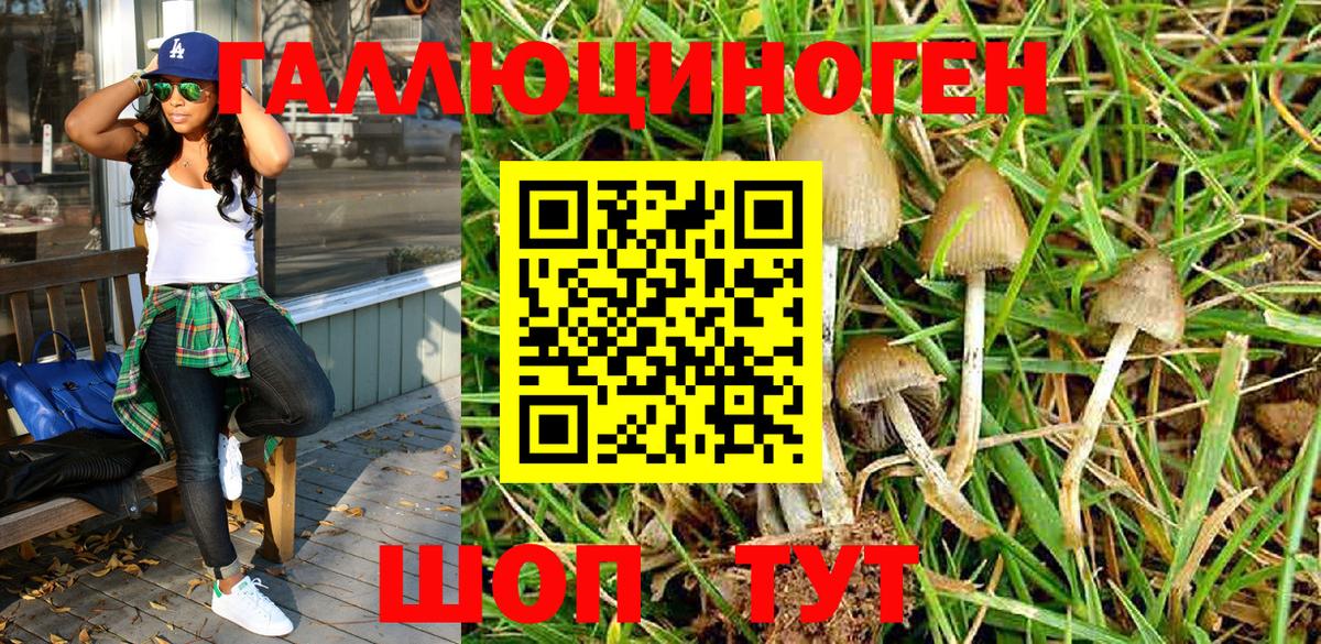 Галлюциногенные грибы прущие грибы  Галлюциногенные грибы Magic Shrooms  Вход с VPN  Рязань 